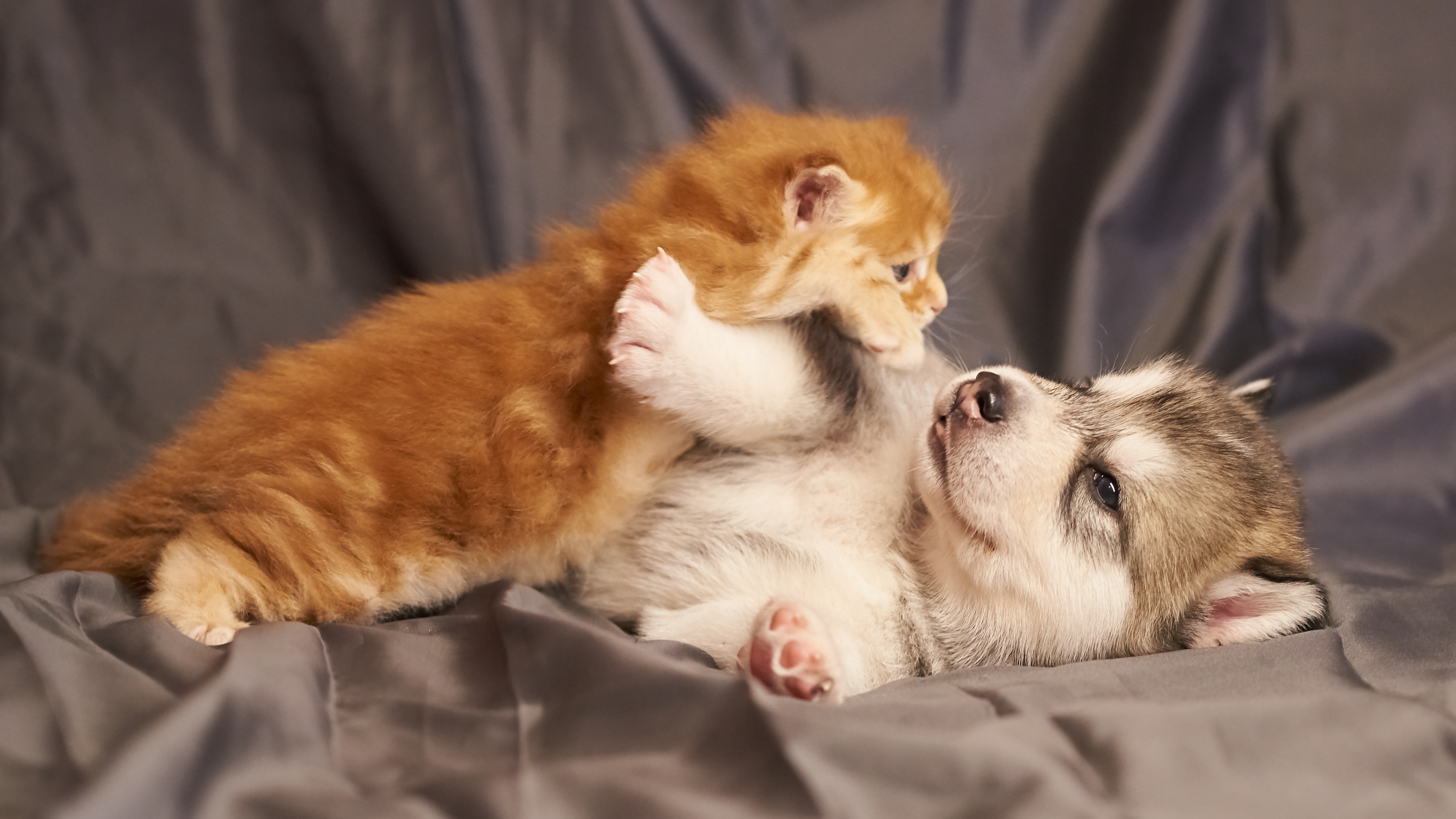 Untitled design (1)-1